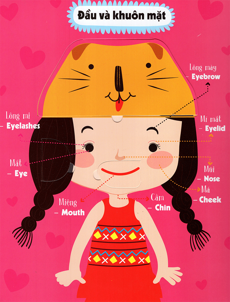 lift-the-flap - lật mở khám phá - the body - cơ thể người (tái bản 2018) - Ảnh 5