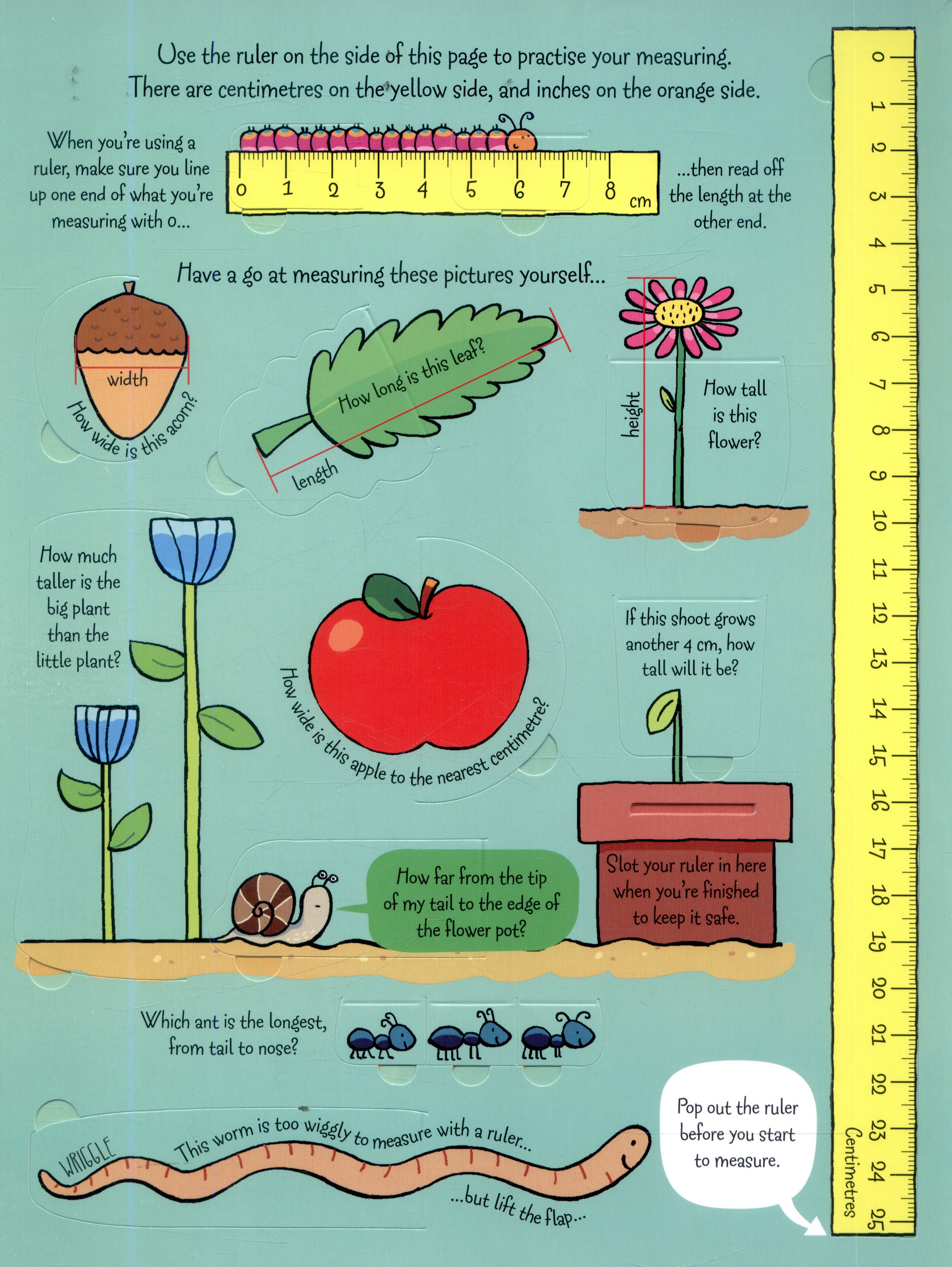 lift the flap - measuring things - Ảnh 4