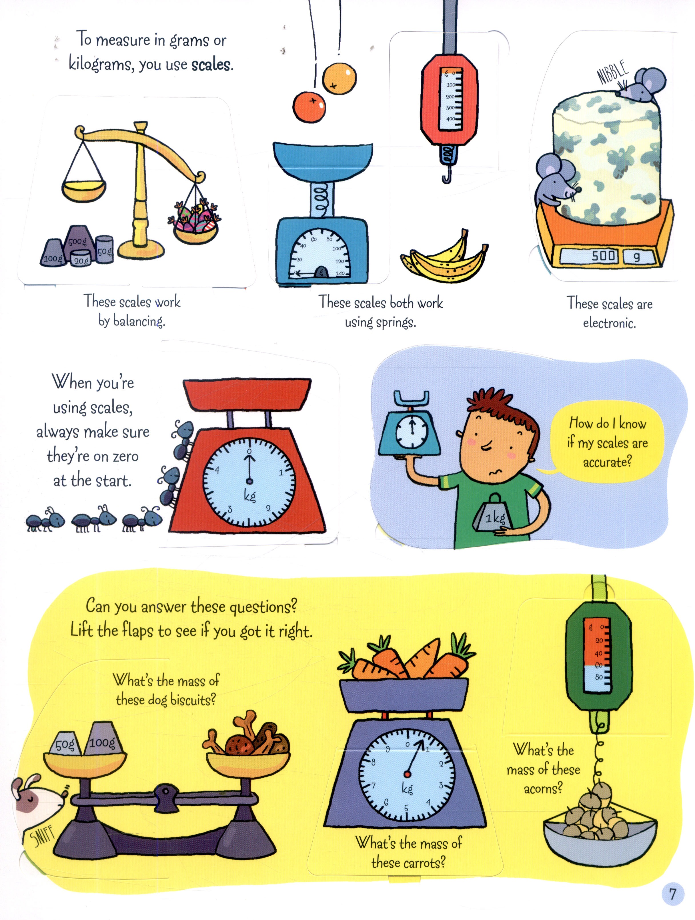 lift the flap - measuring things - Ảnh 6