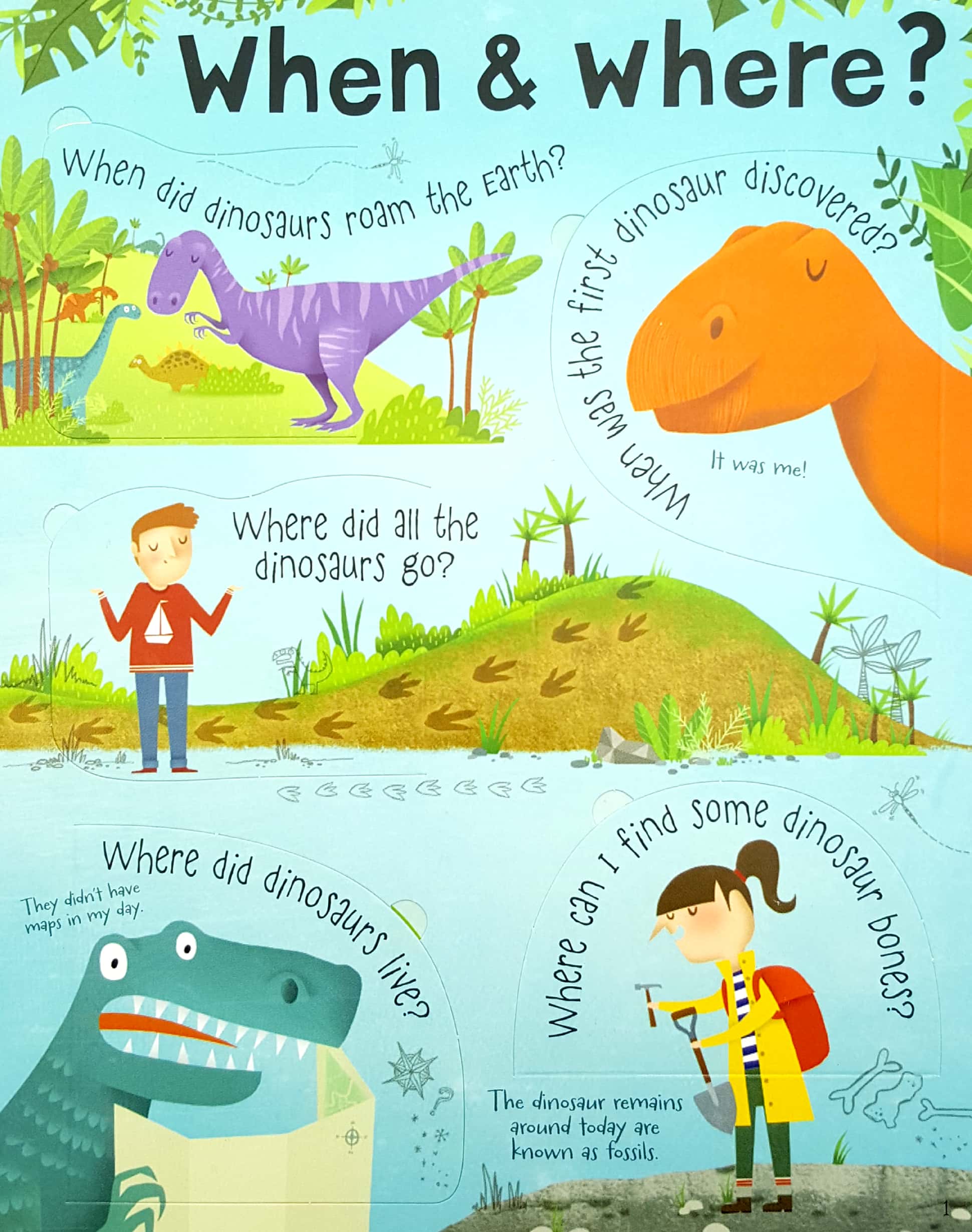 lift-the-flap questions and answers about dinosaurs - Ảnh 4