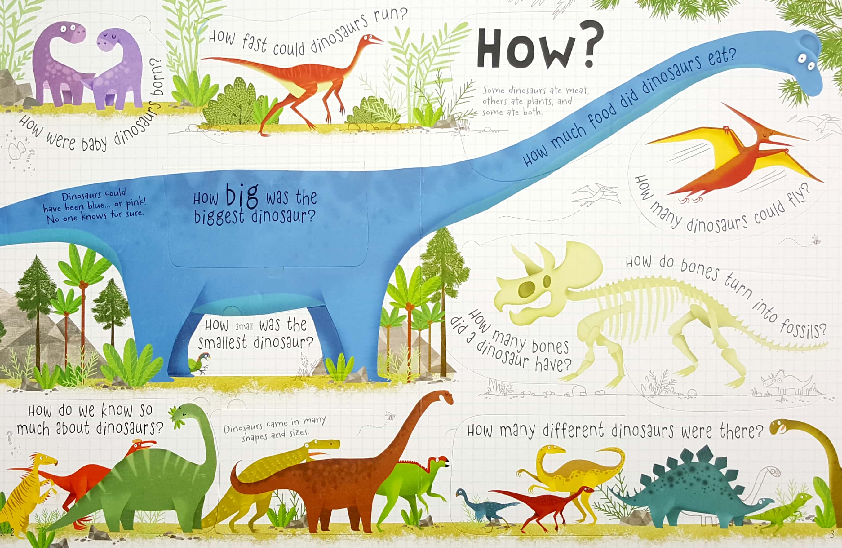 lift-the-flap questions and answers about dinosaurs - Ảnh 5