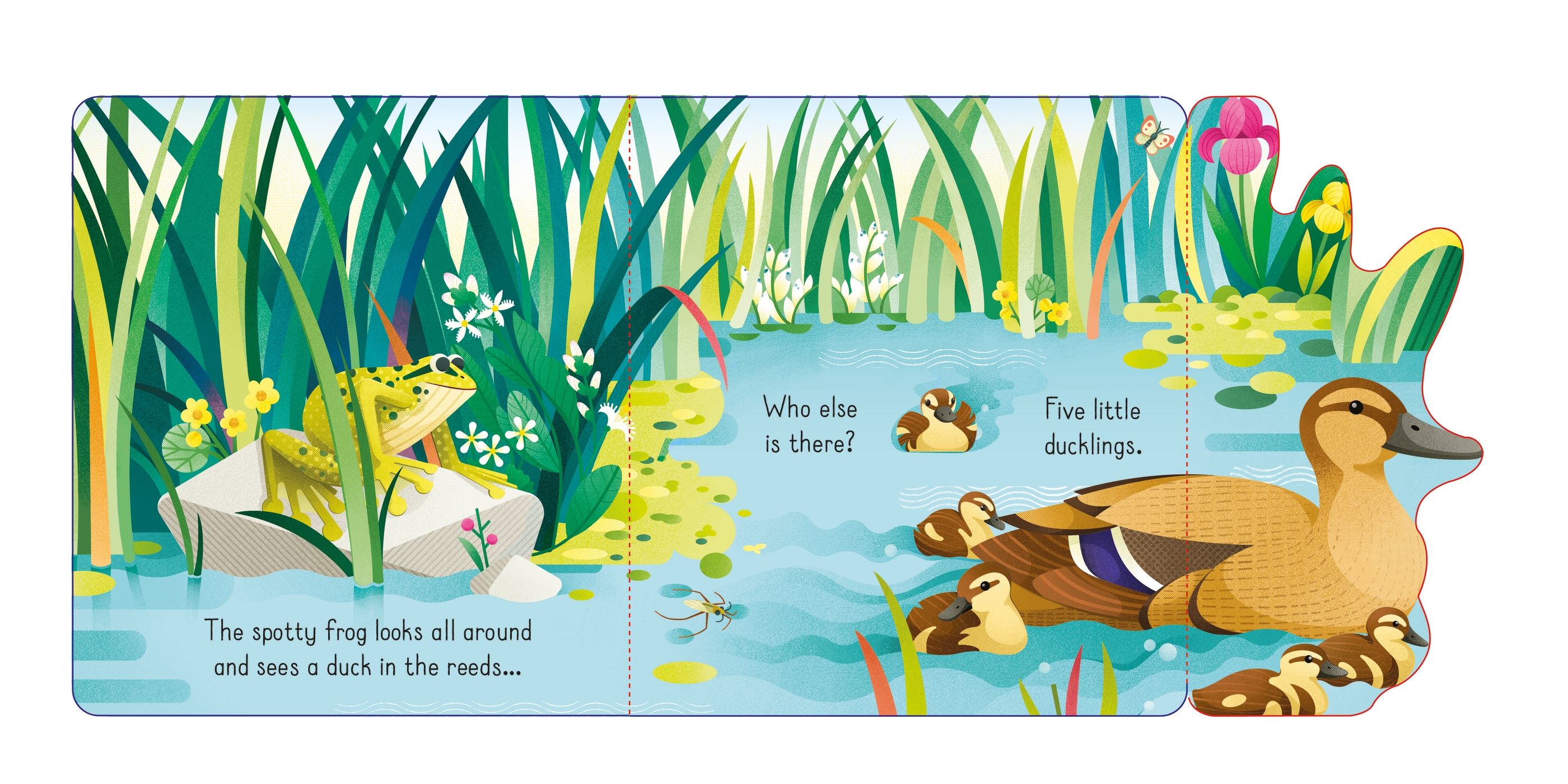 lift the flap spotty frog - Ảnh 4