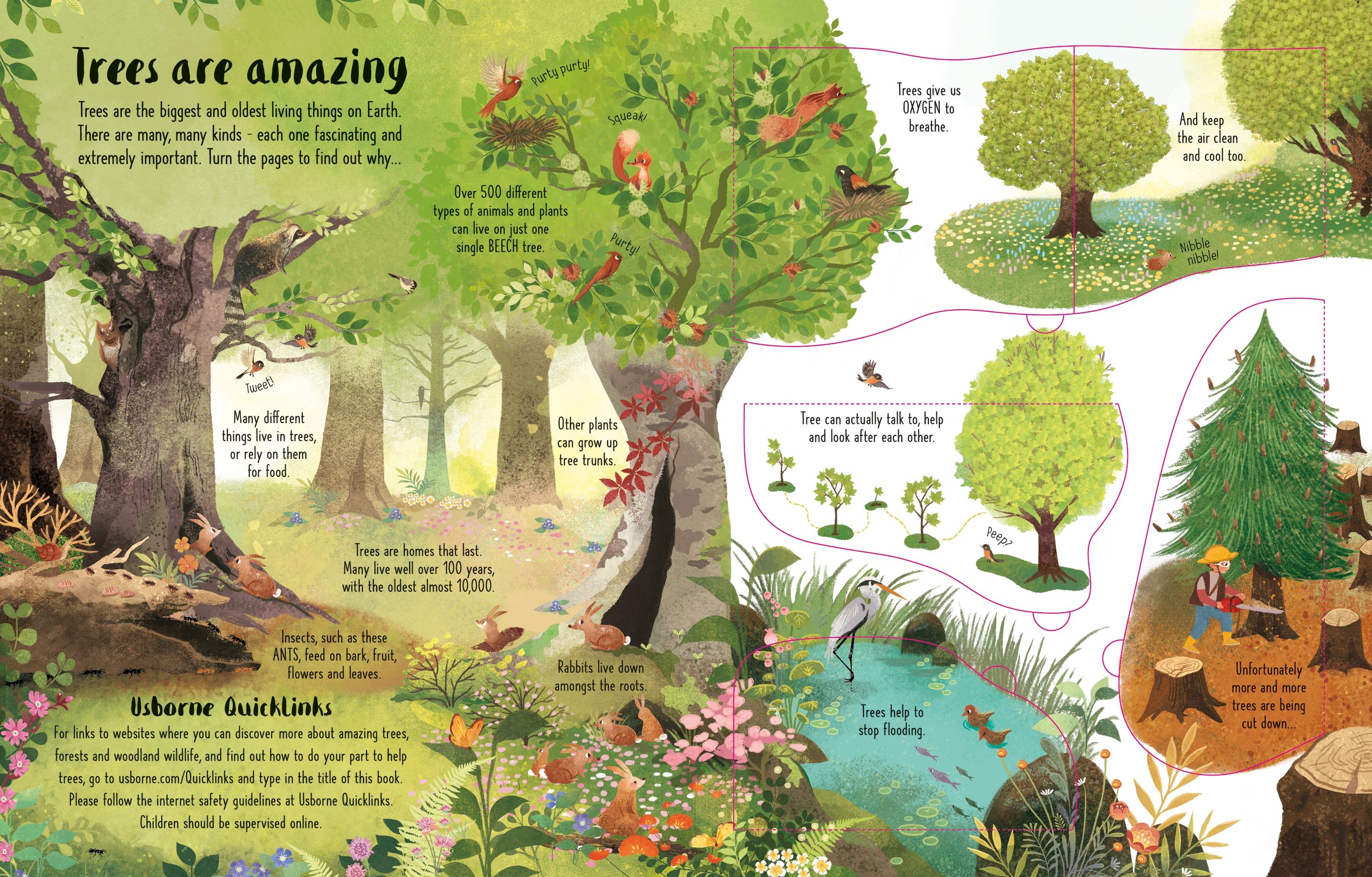 lift-the-flap trees - Ảnh 4