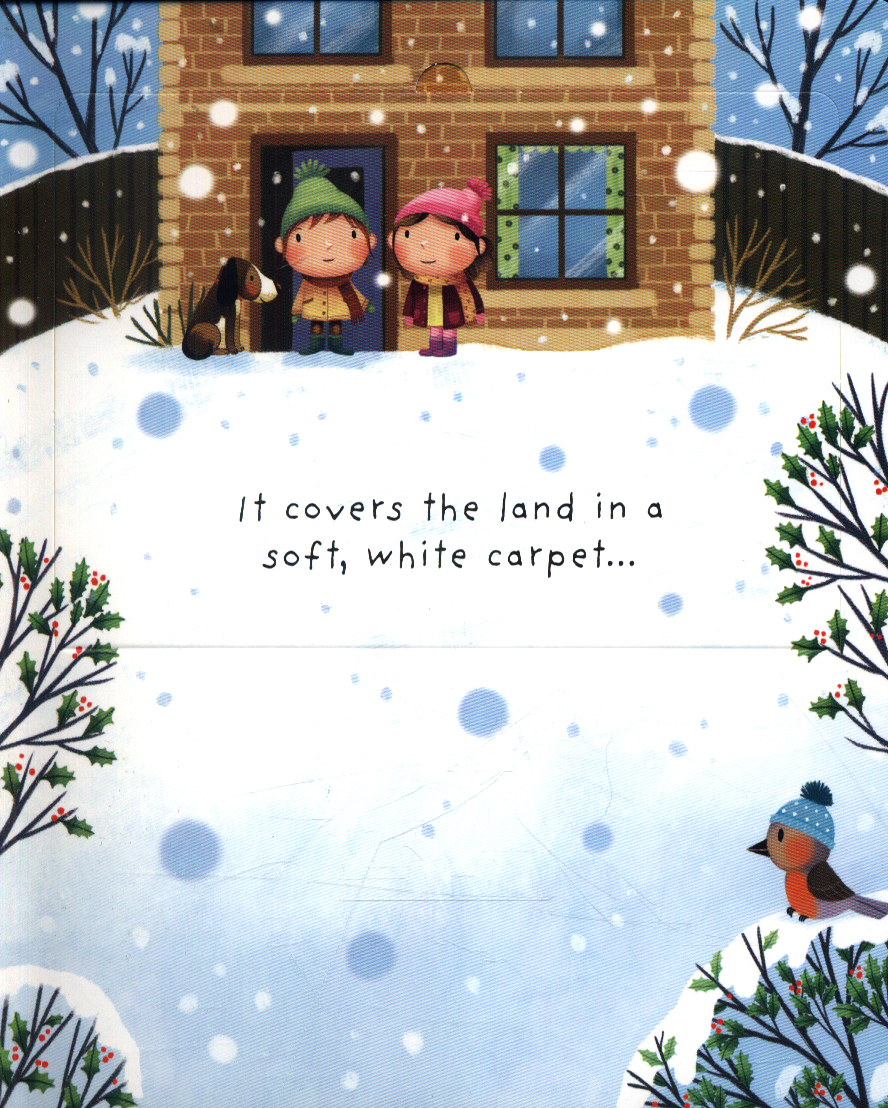 lift-the-flap very first questions and answers: what is snow? - Ảnh 3