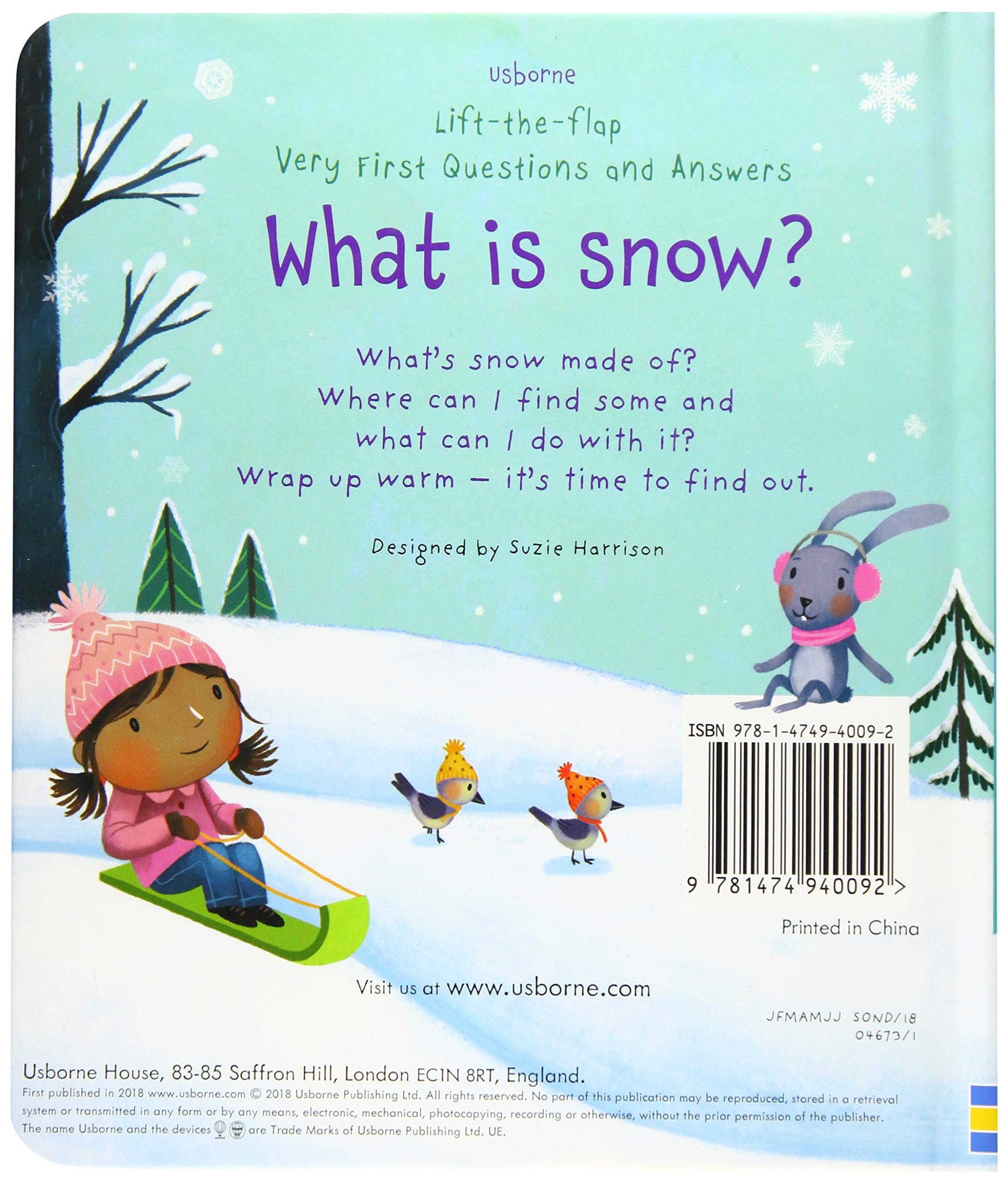 lift-the-flap very first questions and answers: what is snow? - Ảnh 8