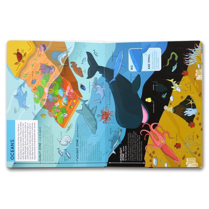 lift the flaps: animals - Ảnh 3