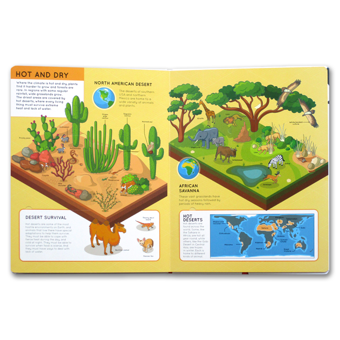 lift the flaps: animals - Ảnh 5