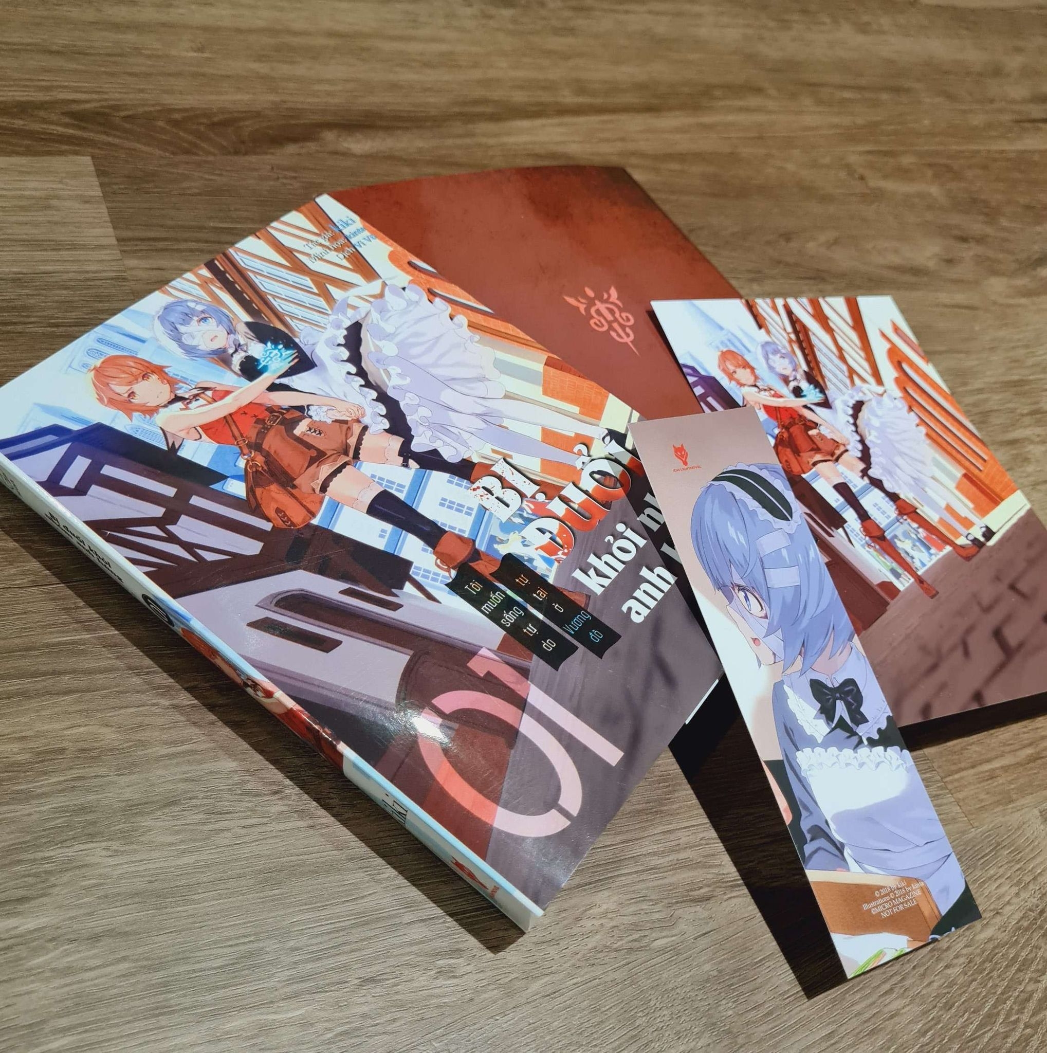 [Light Novel] Bi Duoi Khoi Nhom Anh Hung, Toi Muon Song Tu Do Tu Tai O Vuong Do - Ban Dac Biet - Tang Kem Bookmark + Postcard - Ảnh 4