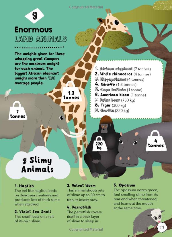 lists for curious kids: 263 fun, fascinating and fact-filled lists (curious lists) - Ảnh 10