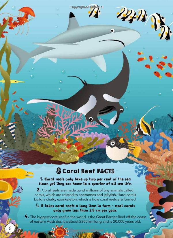 lists for curious kids: 263 fun, fascinating and fact-filled lists (curious lists) - Ảnh 5