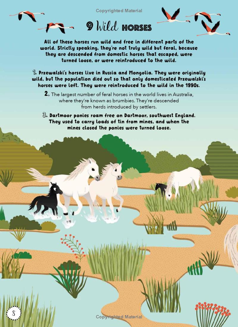 lists for curious kids - animals - Ảnh 8