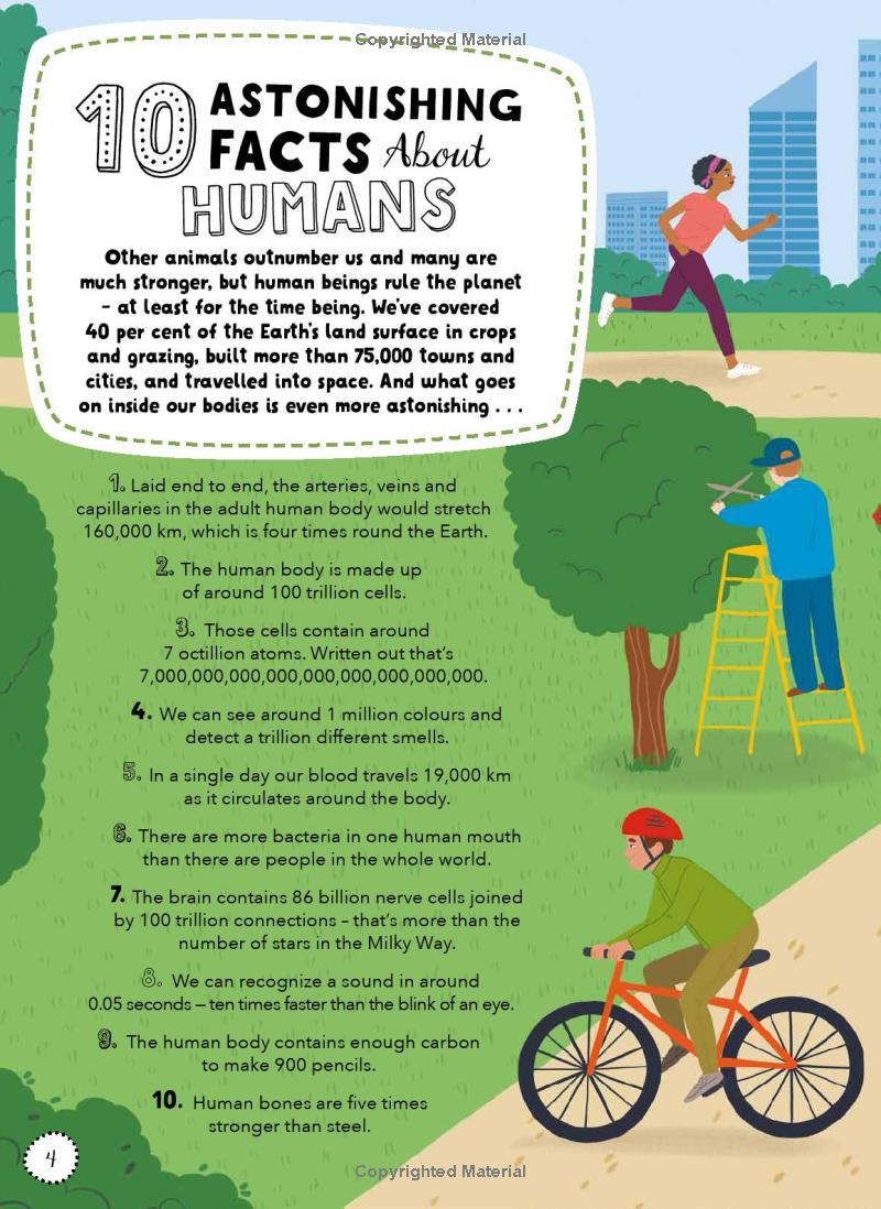 lists for curious kids - human body - Ảnh 4