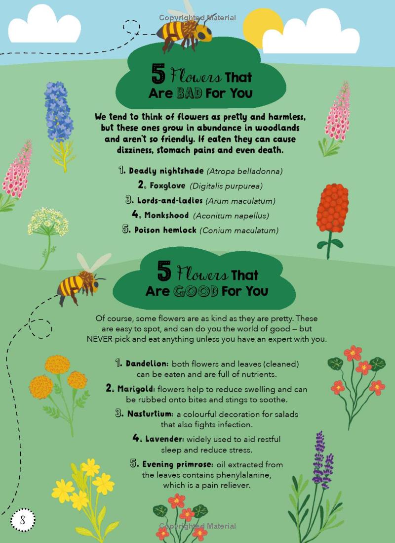 lists for curious kids - human body - Ảnh 8