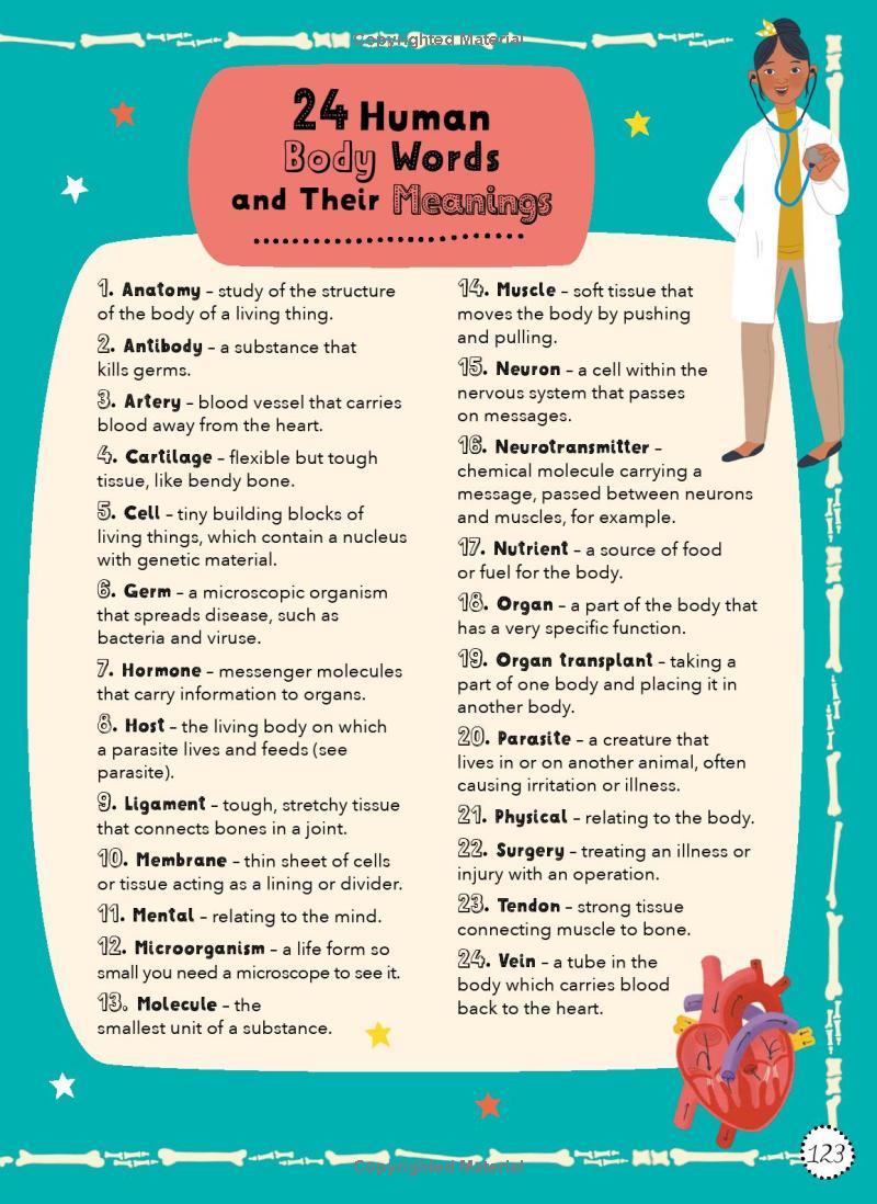 lists for curious kids - human body - Ảnh 9