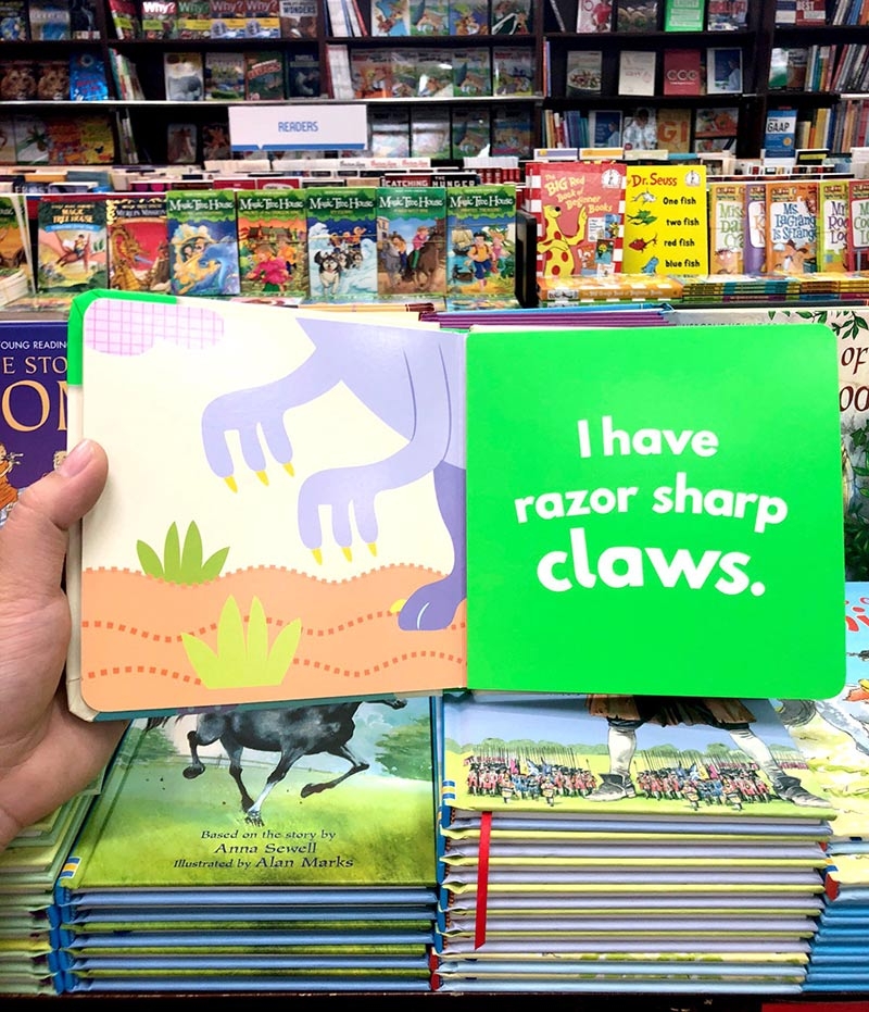 little beginners fold out dino - Ảnh 5