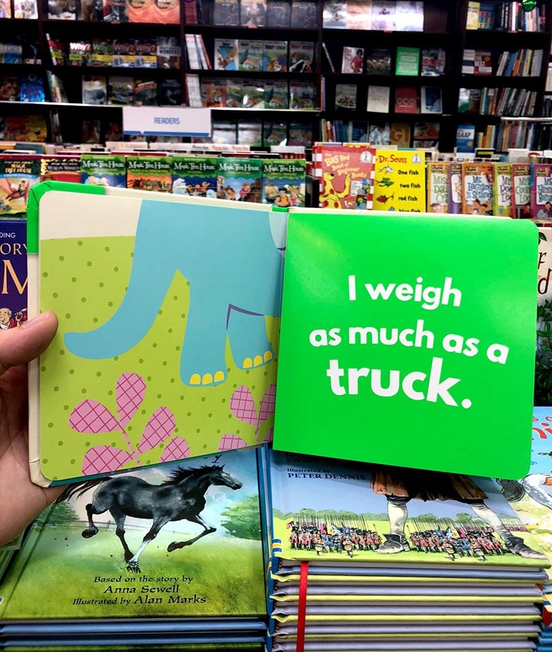 little beginners fold out dino - Ảnh 8