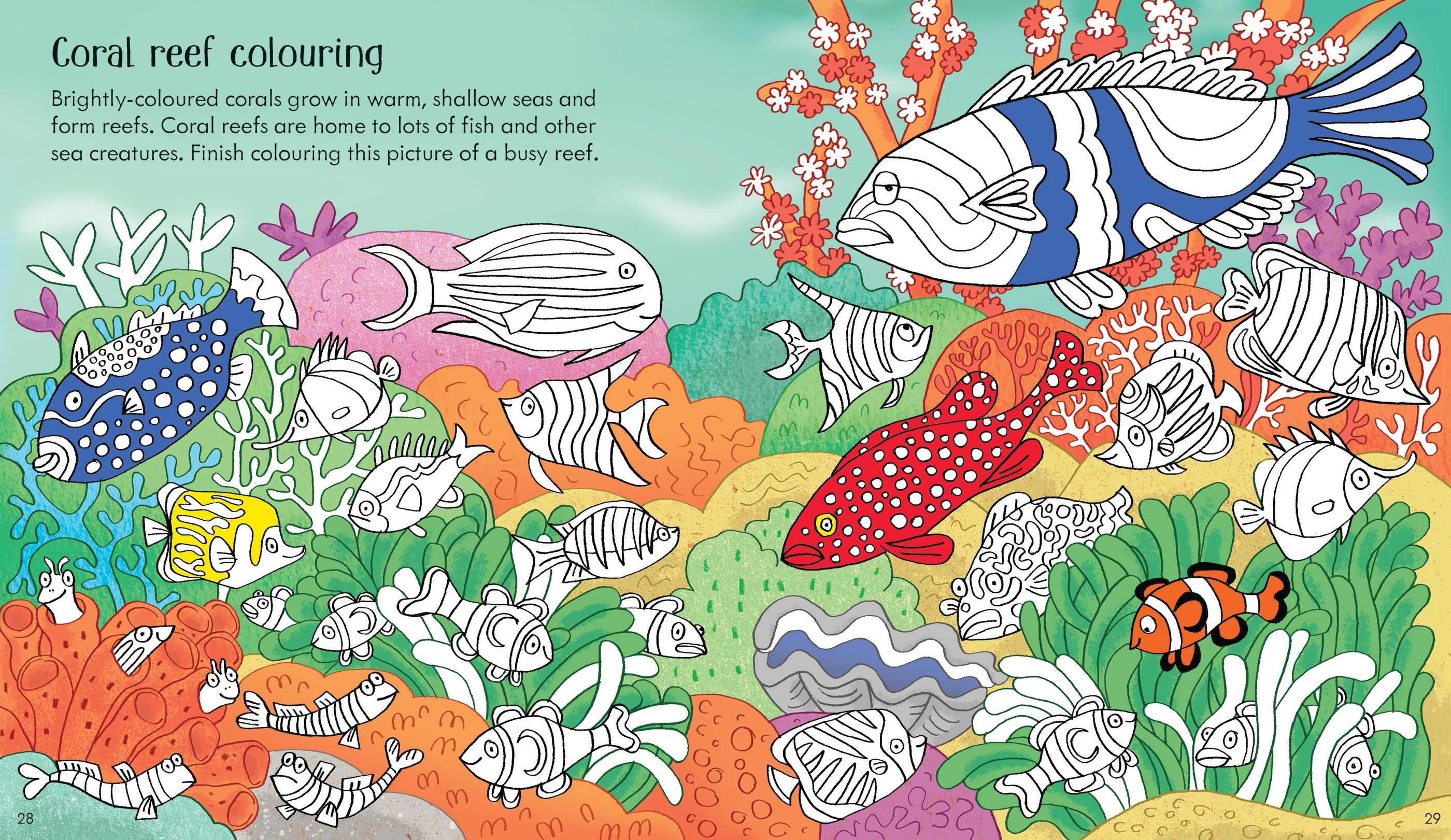 little children's under the sea activity book - Ảnh 3