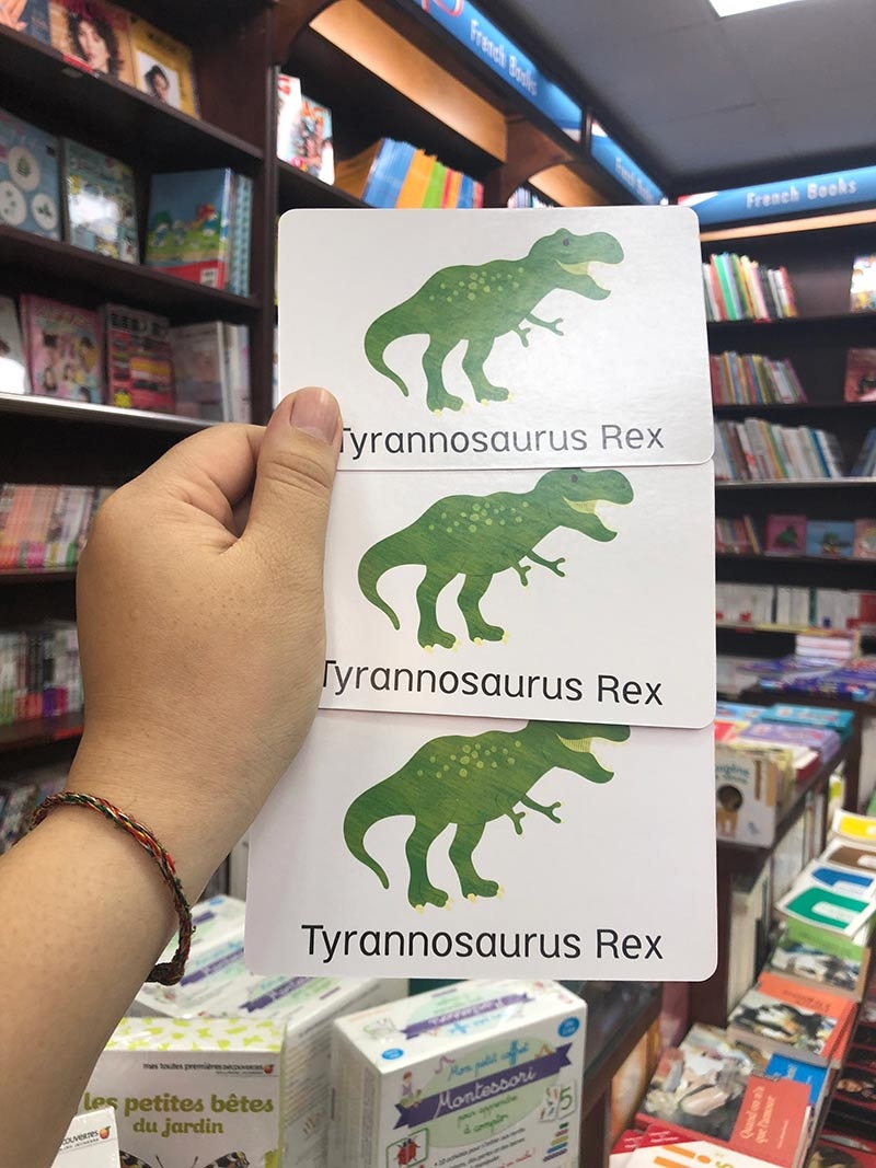 little genius card dino snap - Ảnh 7