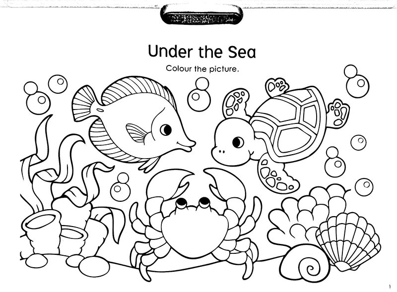 little genius pad - Ảnh 3