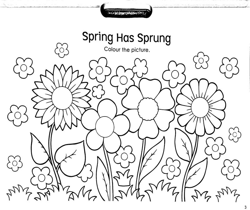 little genius pad - Ảnh 5