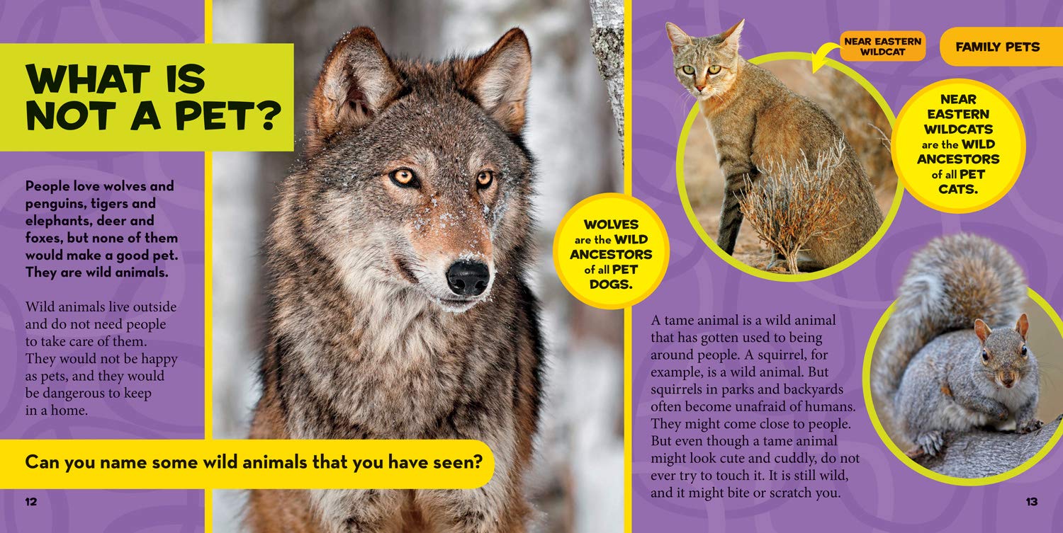 little kids first big book of pets (national geographic little kids first big books) - Ảnh 3