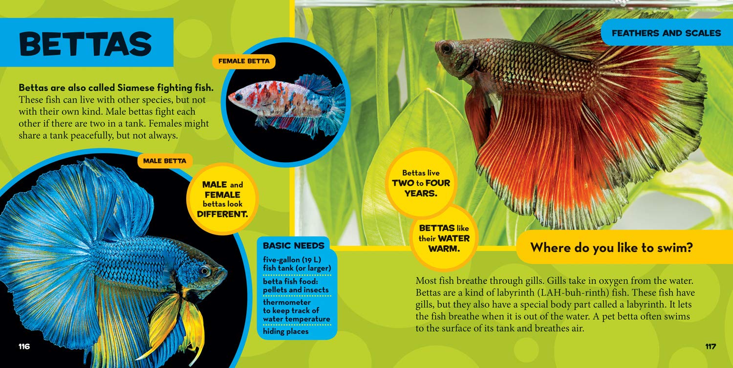 little kids first big book of pets (national geographic little kids first big books) - Ảnh 5