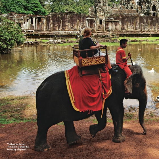 little kids first big book of the world - Ảnh 4