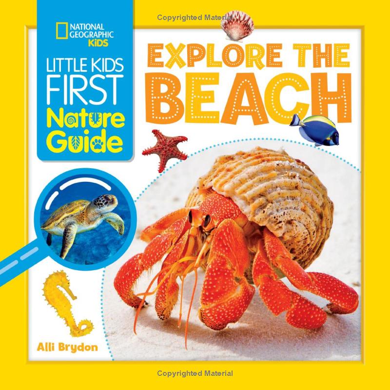 little kids first nature guide - explore the beach - Ảnh 2