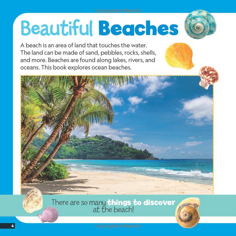little kids first nature guide - explore the beach - Ảnh 5