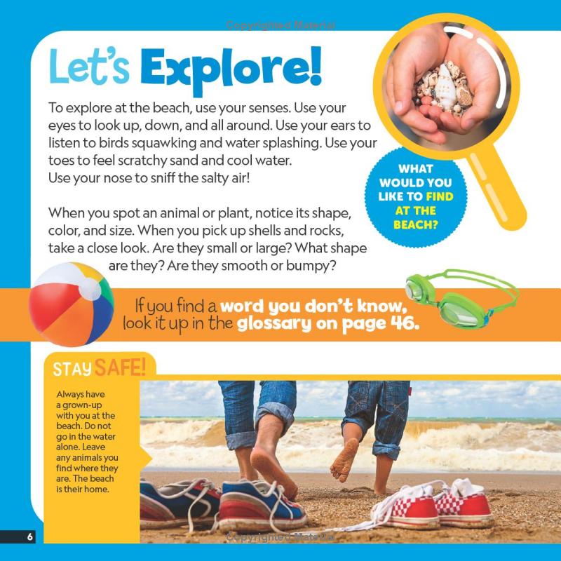 little kids first nature guide - explore the beach - Ảnh 7