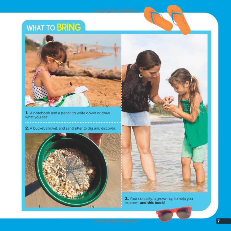 little kids first nature guide - explore the beach - Ảnh 8