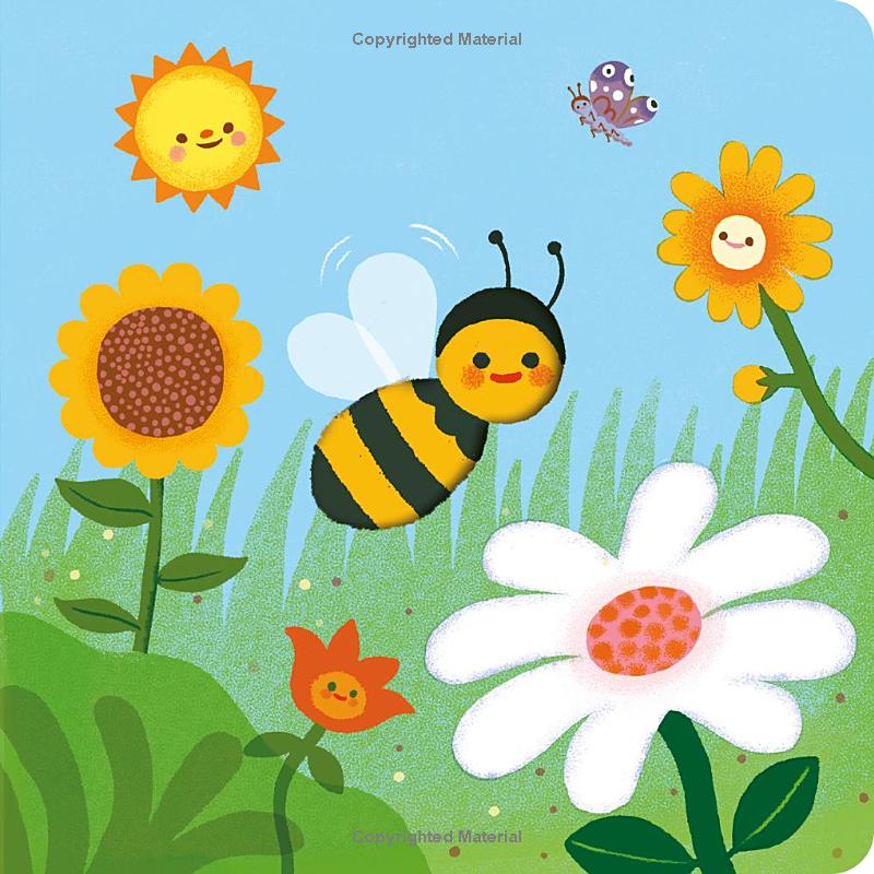 little life cycles - bee - Ảnh 4