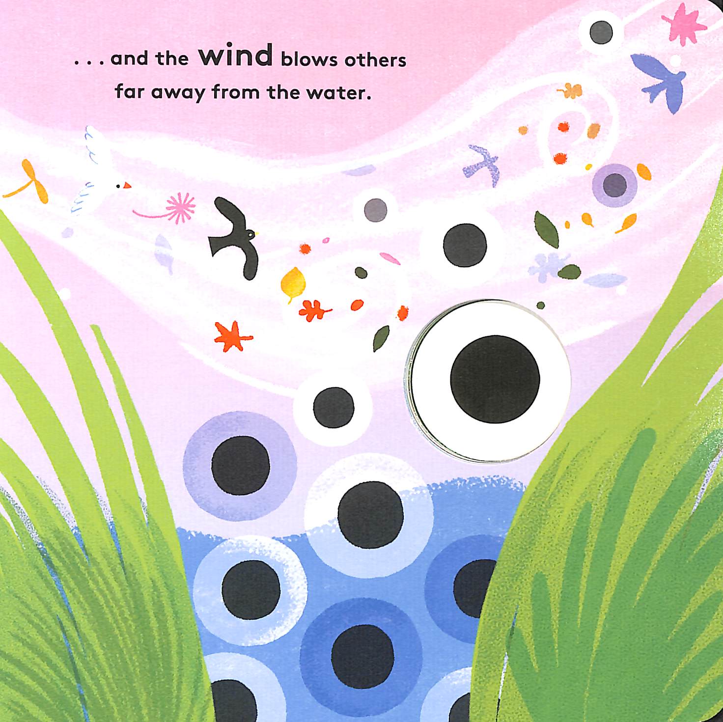 little life cycles - frog - Ảnh 4