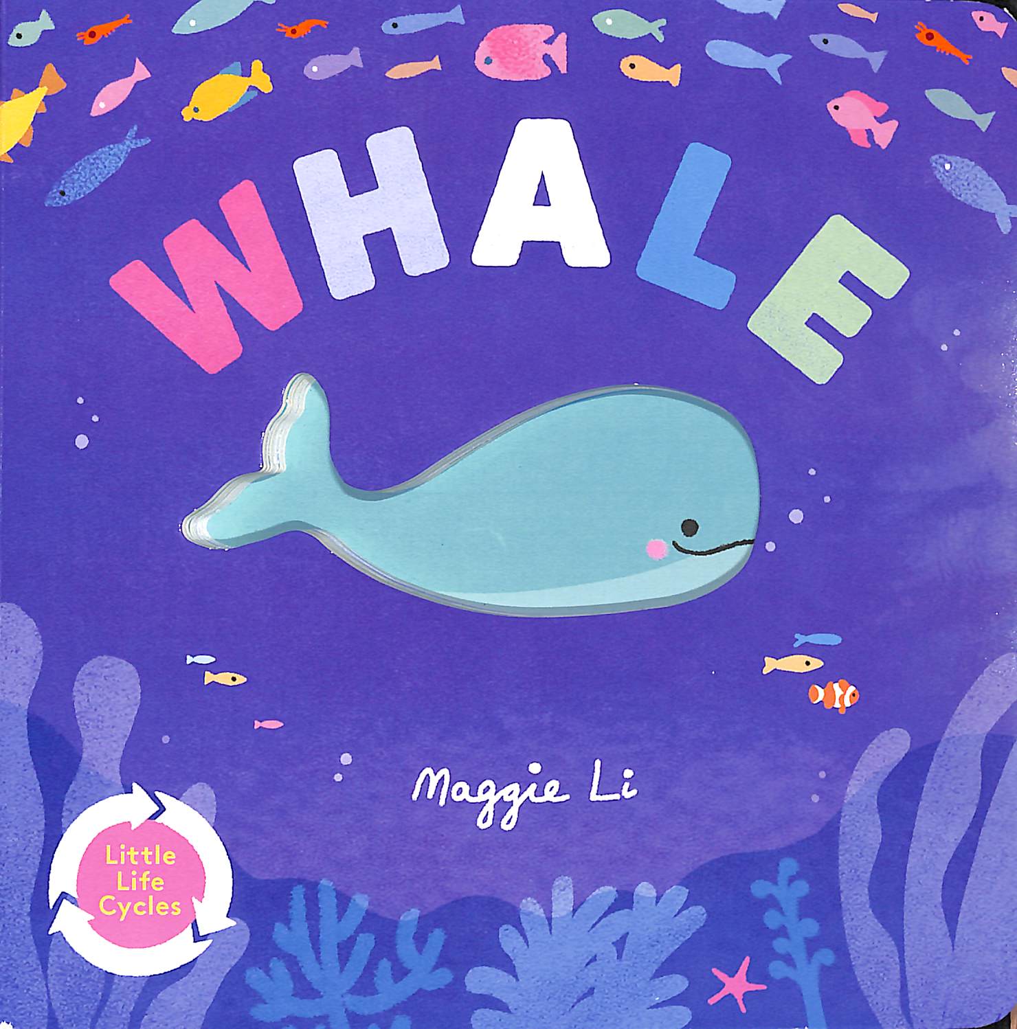 little life cycles - whale - Ảnh 2