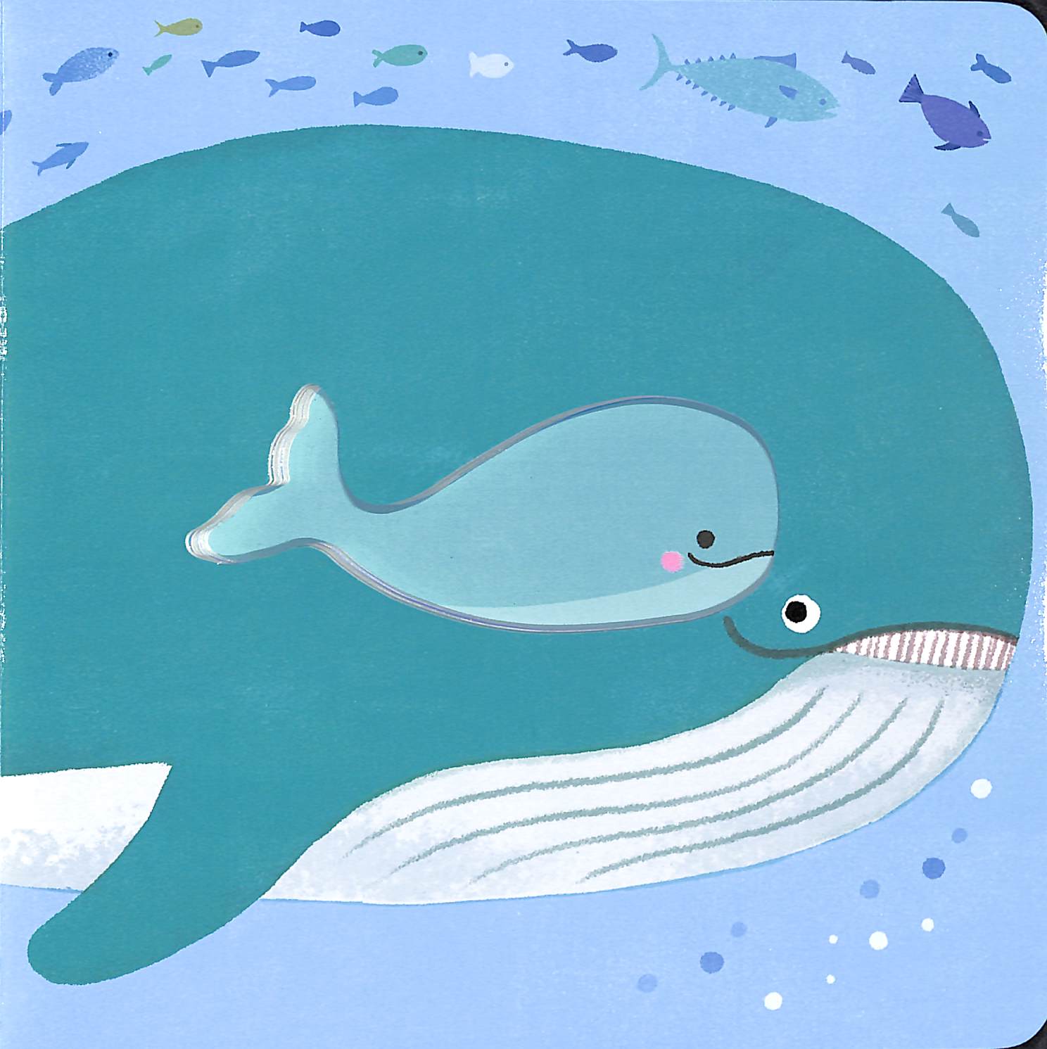 little life cycles - whale - Ảnh 3