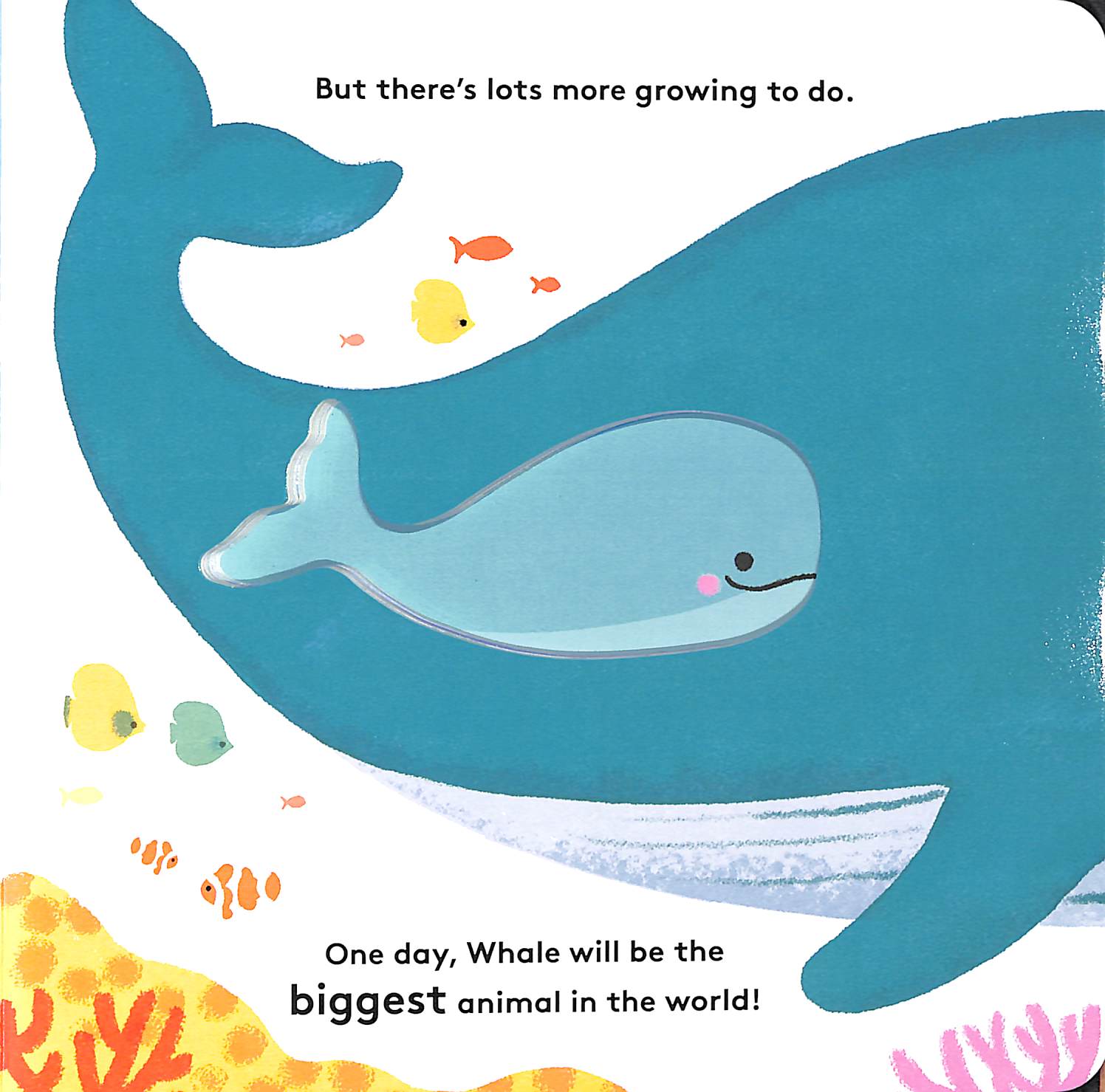 little life cycles - whale - Ảnh 4