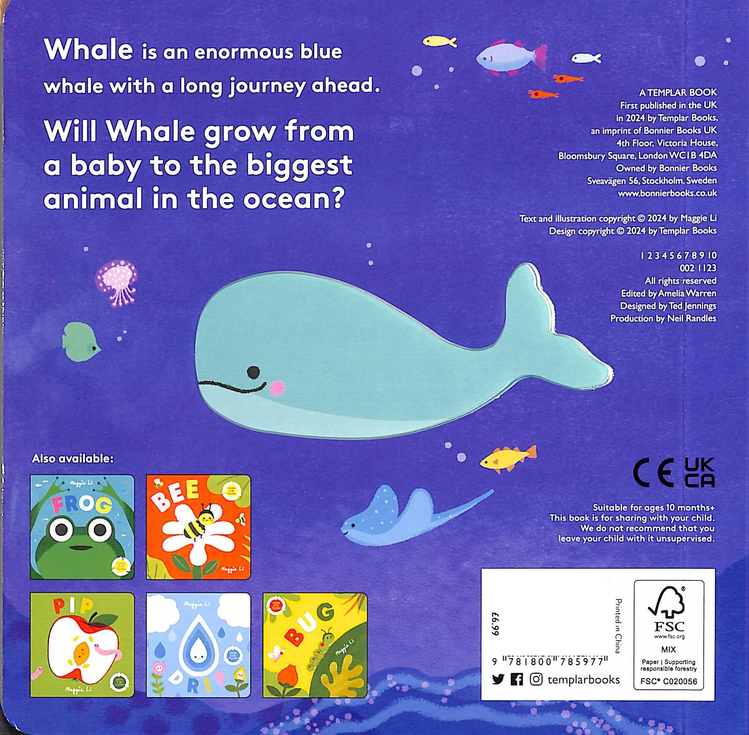 little life cycles - whale - Ảnh 8