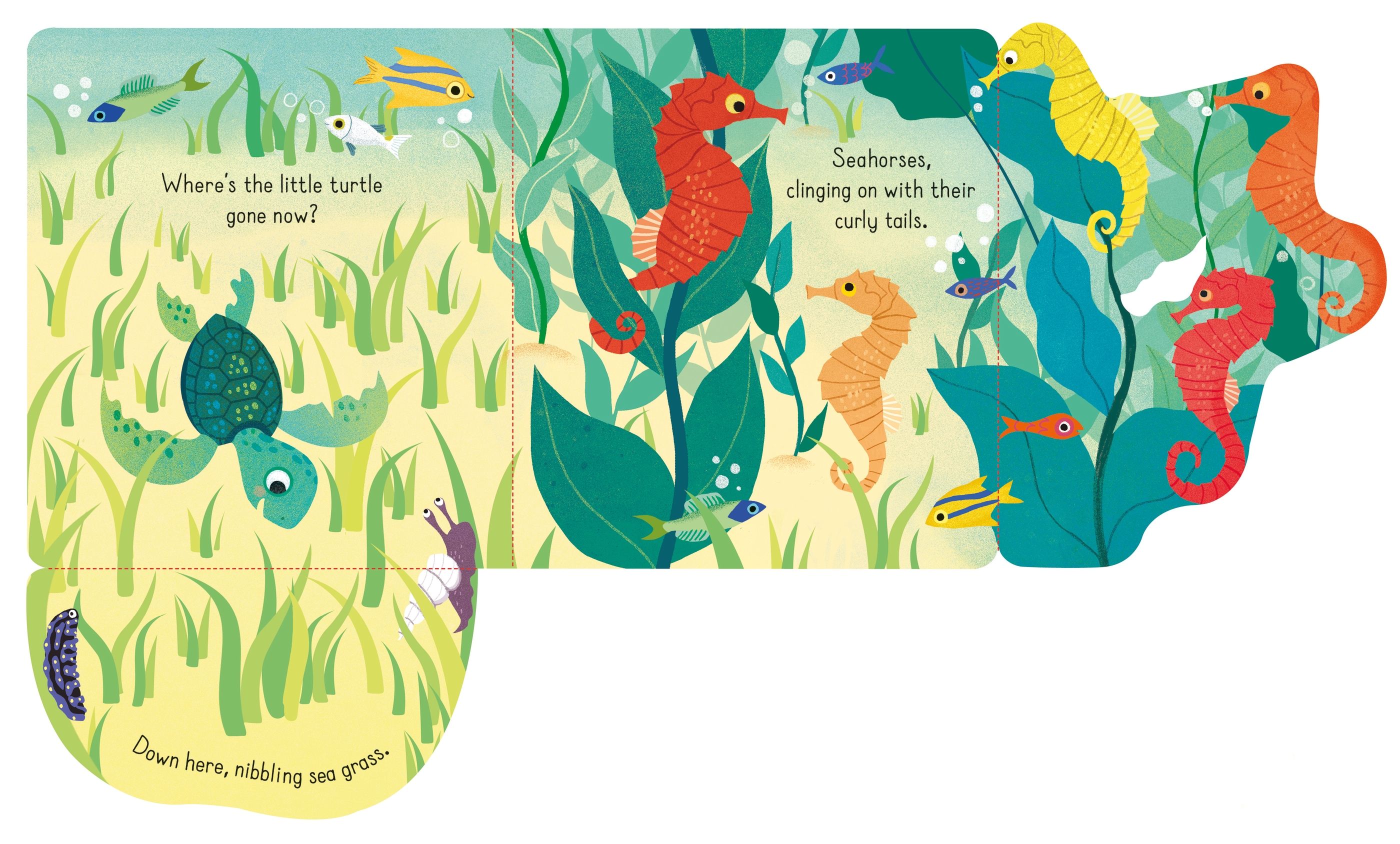 little lift and look under the sea - Ảnh 4