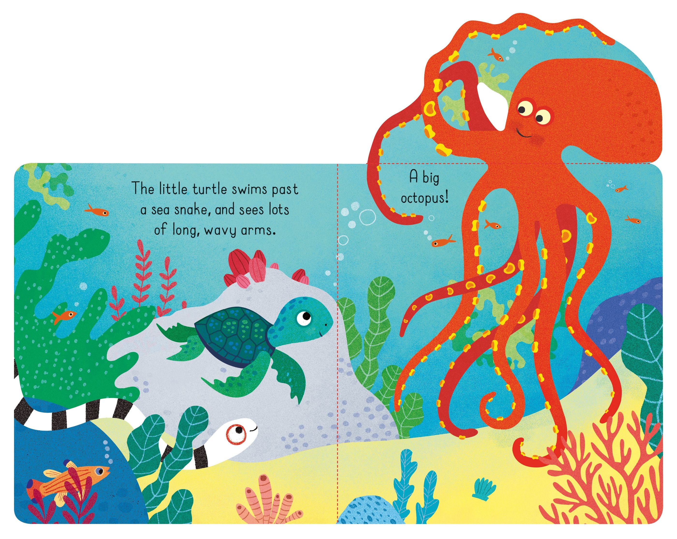 little lift and look under the sea - Ảnh 5