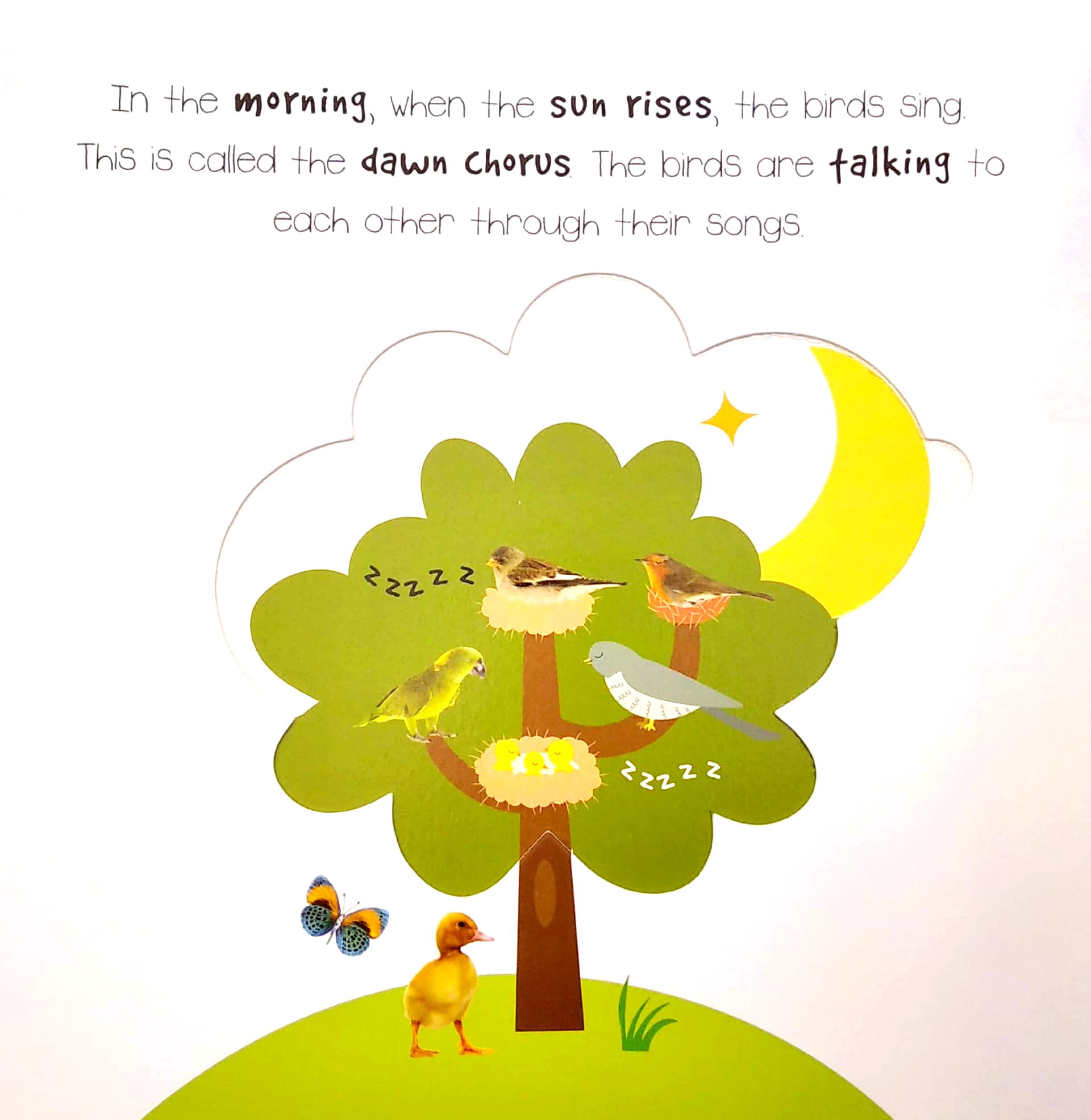 little wonders a pop-out play book: night & day - Ảnh 5