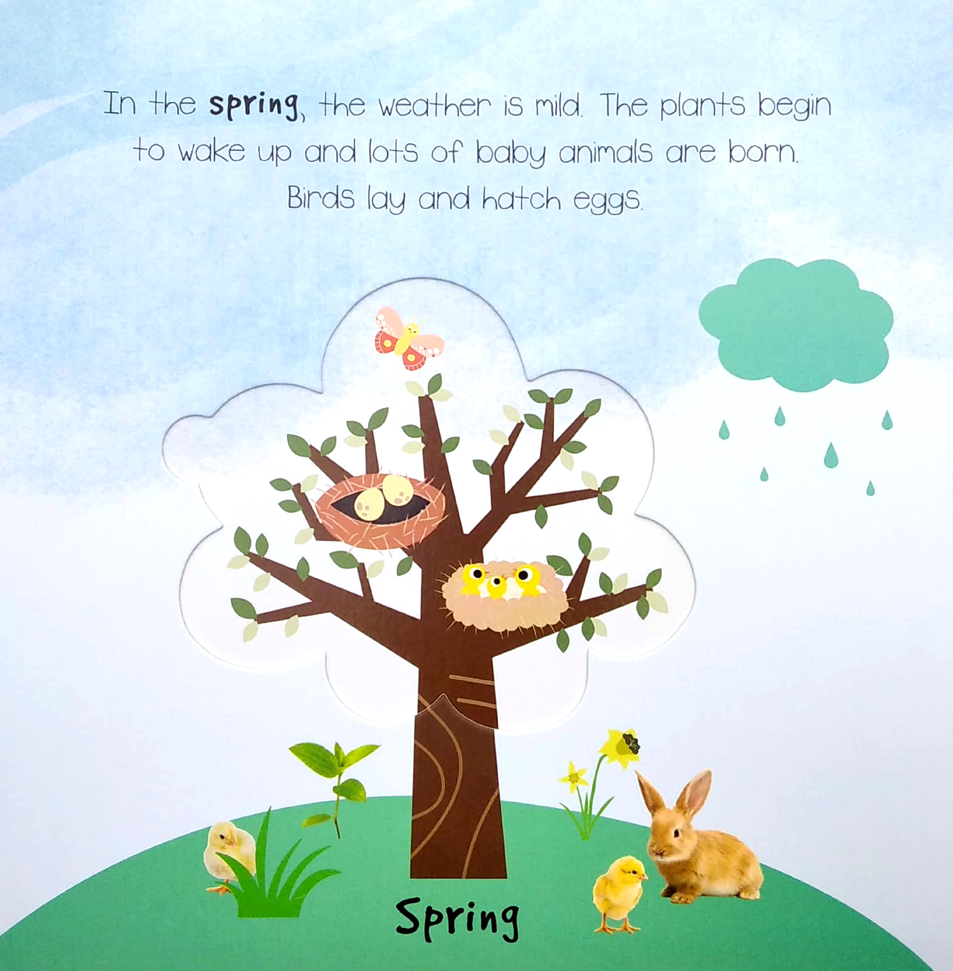 little wonders a pop-out play book: the seasons - Ảnh 5