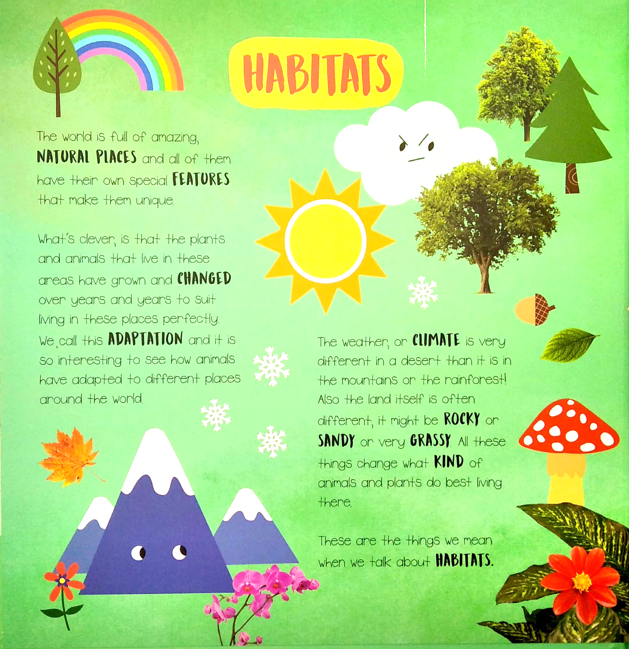 little wonders - habitats - multi-flap - Ảnh 3