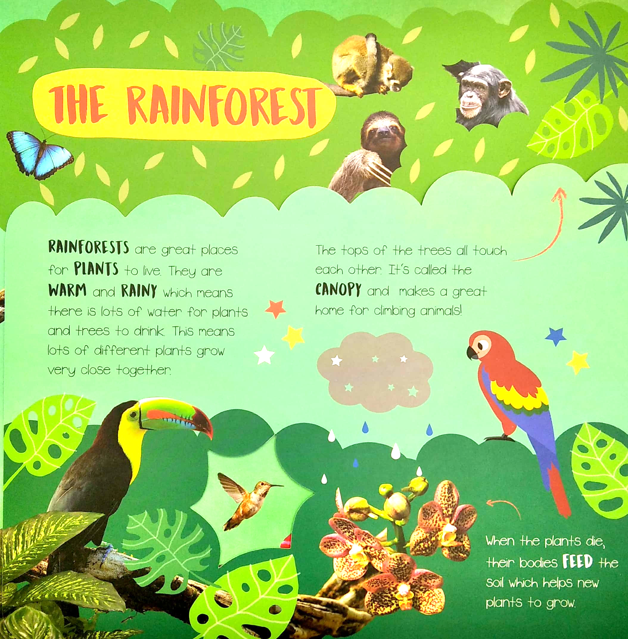 little wonders - habitats - multi-flap - Ảnh 4