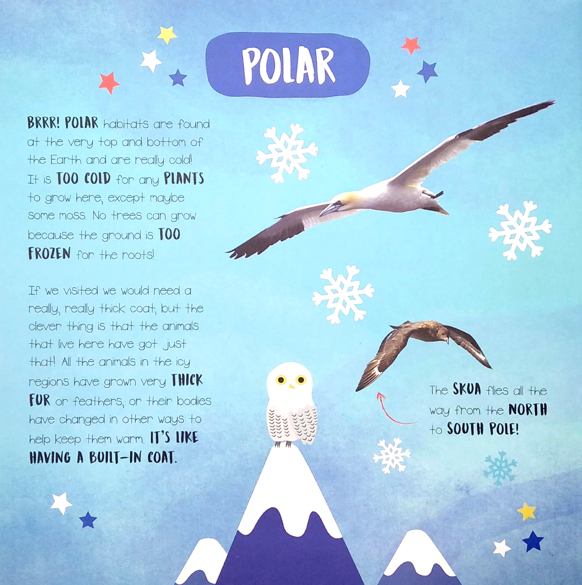 little wonders - habitats - multi-flap - Ảnh 5