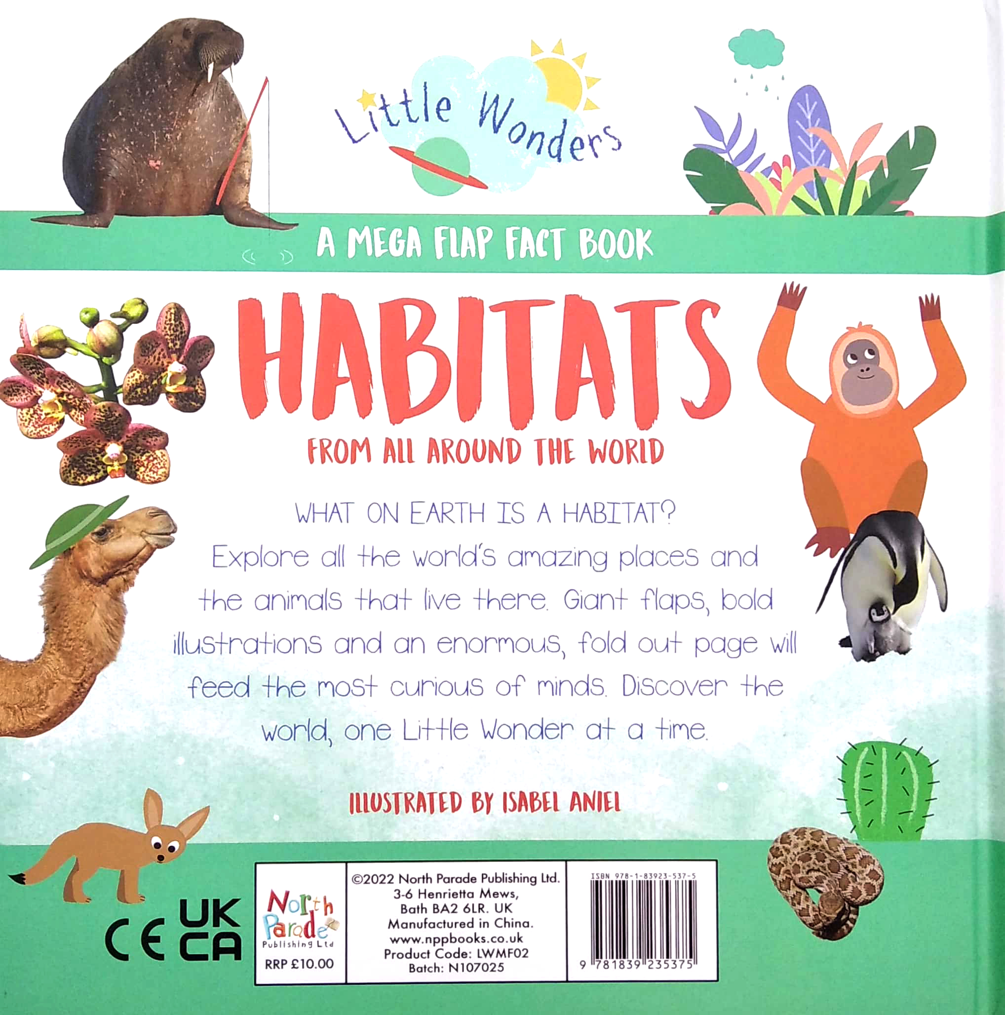 little wonders - habitats - multi-flap - Ảnh 6