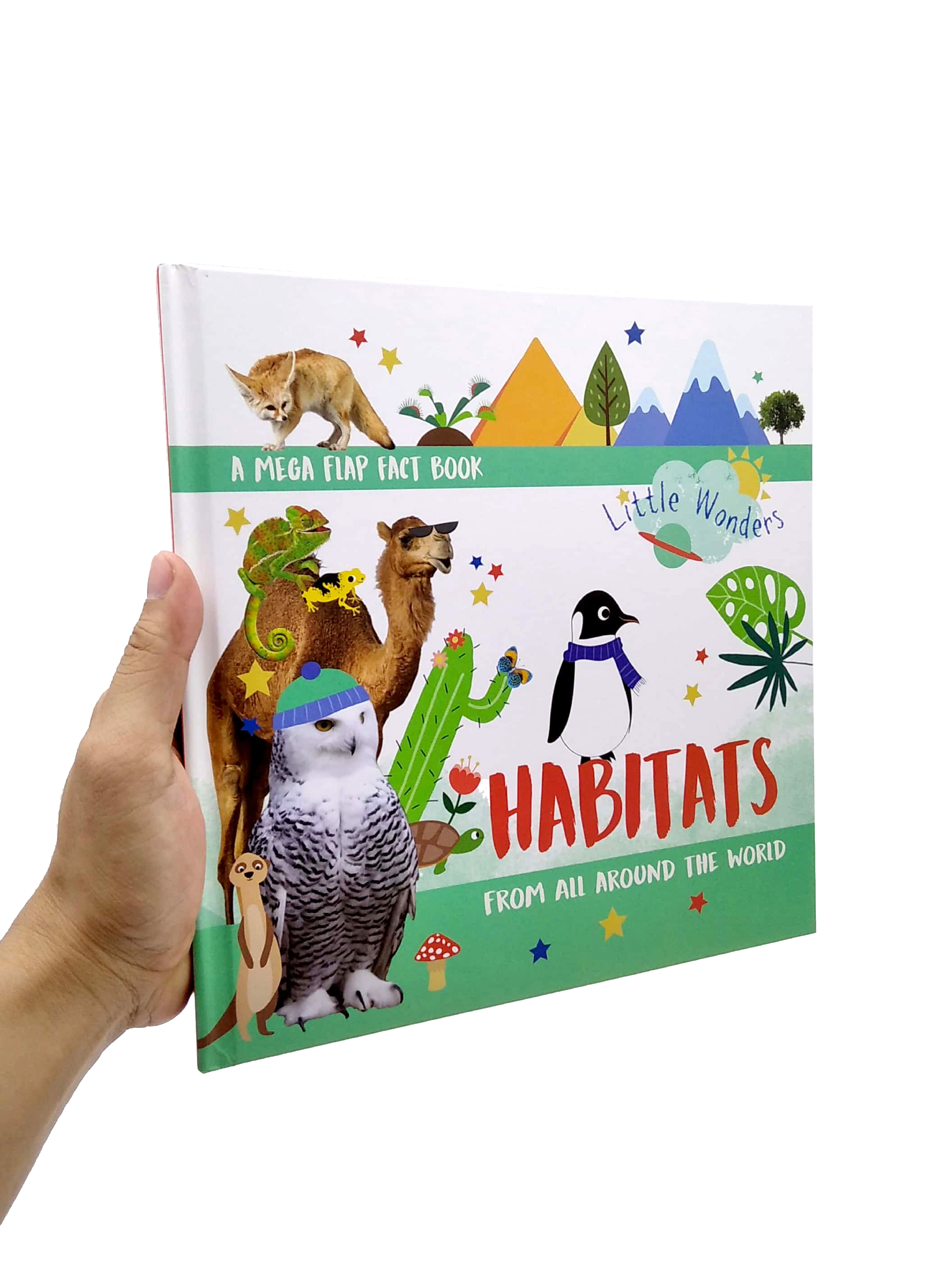 little wonders - habitats - multi-flap - Ảnh 7