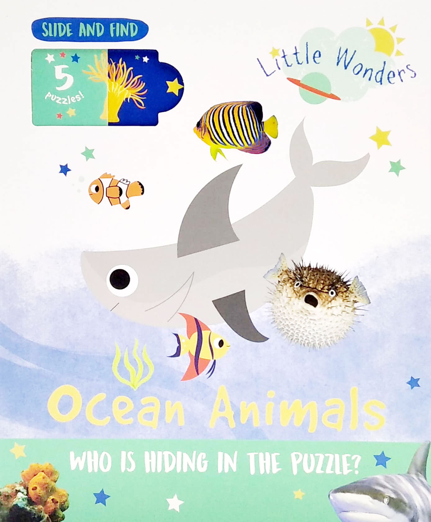 little wonders: ocean animals - 5 puzzles - Ảnh 2