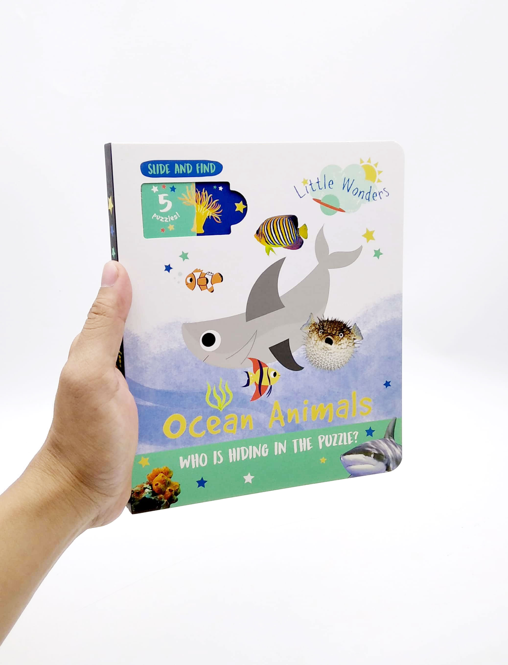 little wonders: ocean animals - 5 puzzles - Ảnh 7