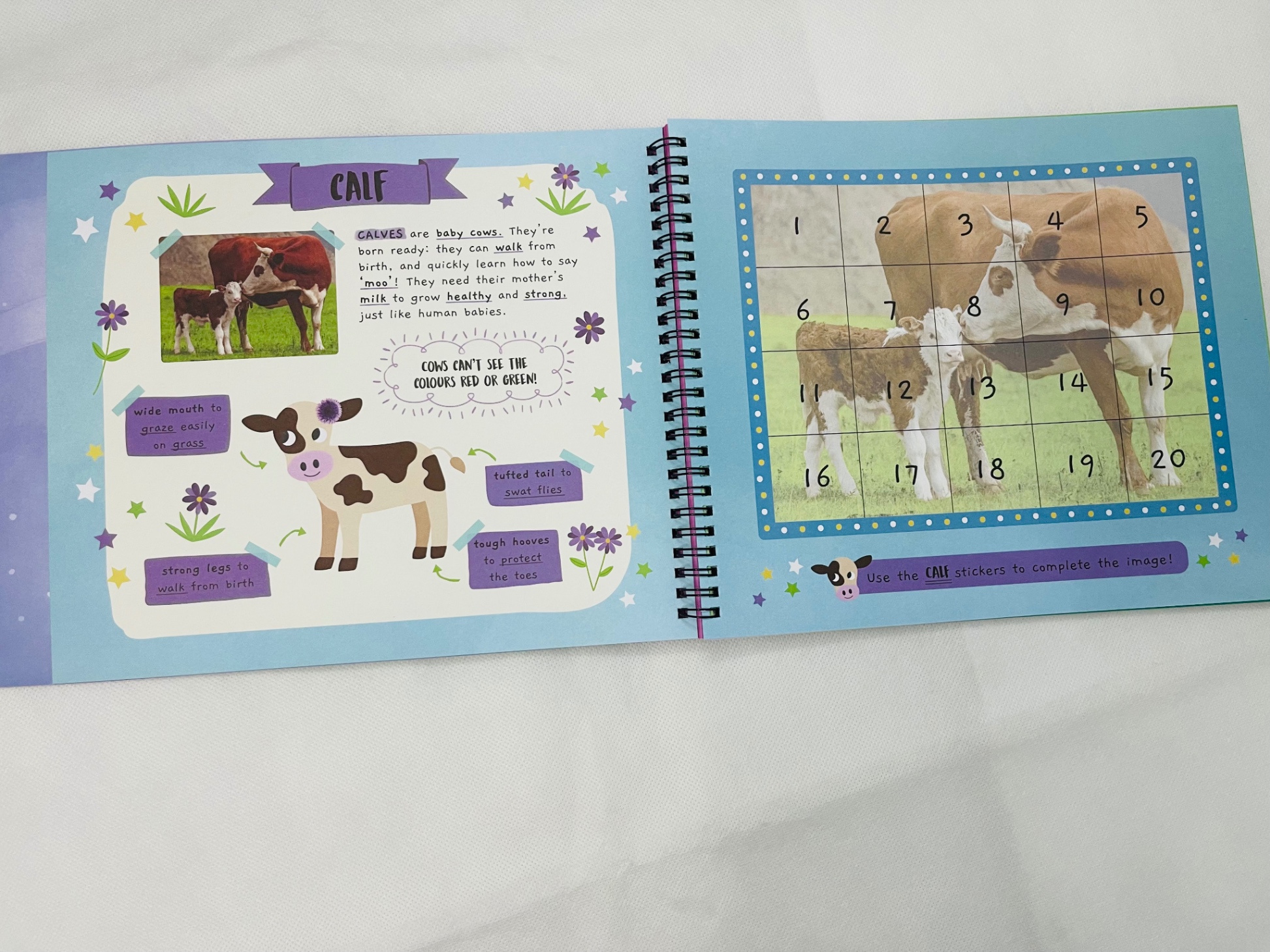 little wonders sticker by number - baby animals - Ảnh 4