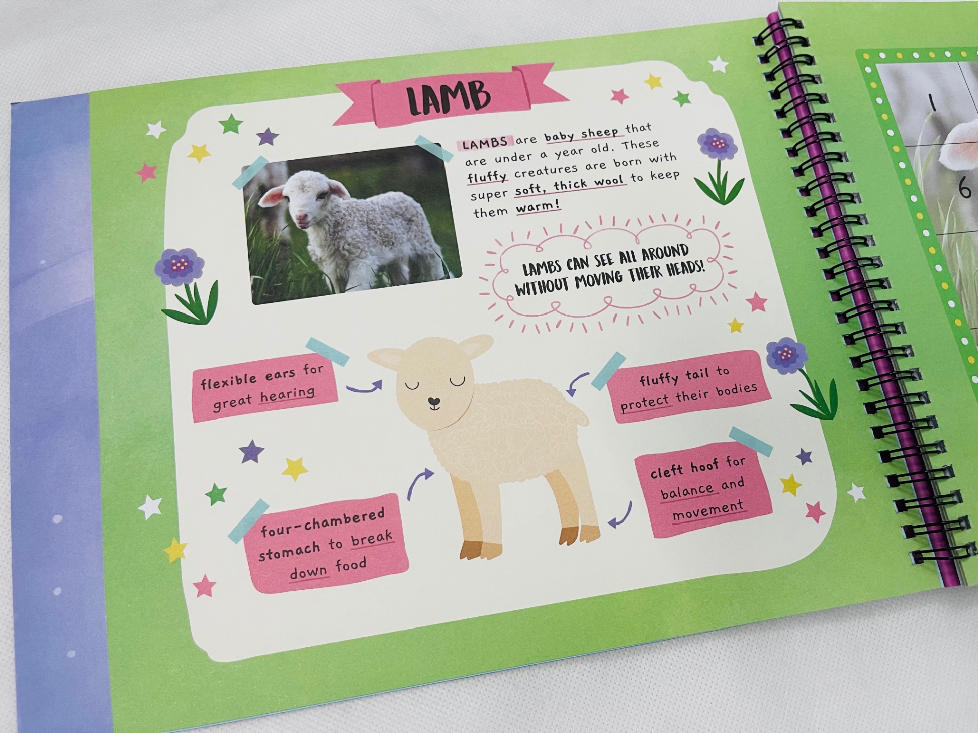 little wonders sticker by number - baby animals - Ảnh 5